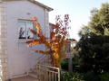 dokumenty/720/p1010009.jpg